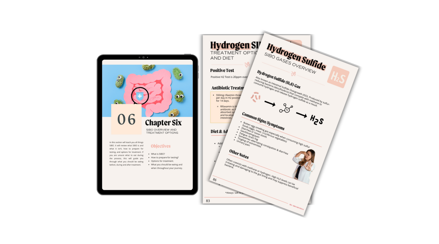 Bloating Breakthrough - Ultimate IBS & SIBO Handbook