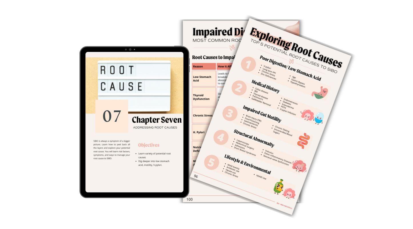 Bloating Breakthrough - Ultimate IBS & SIBO Handbook